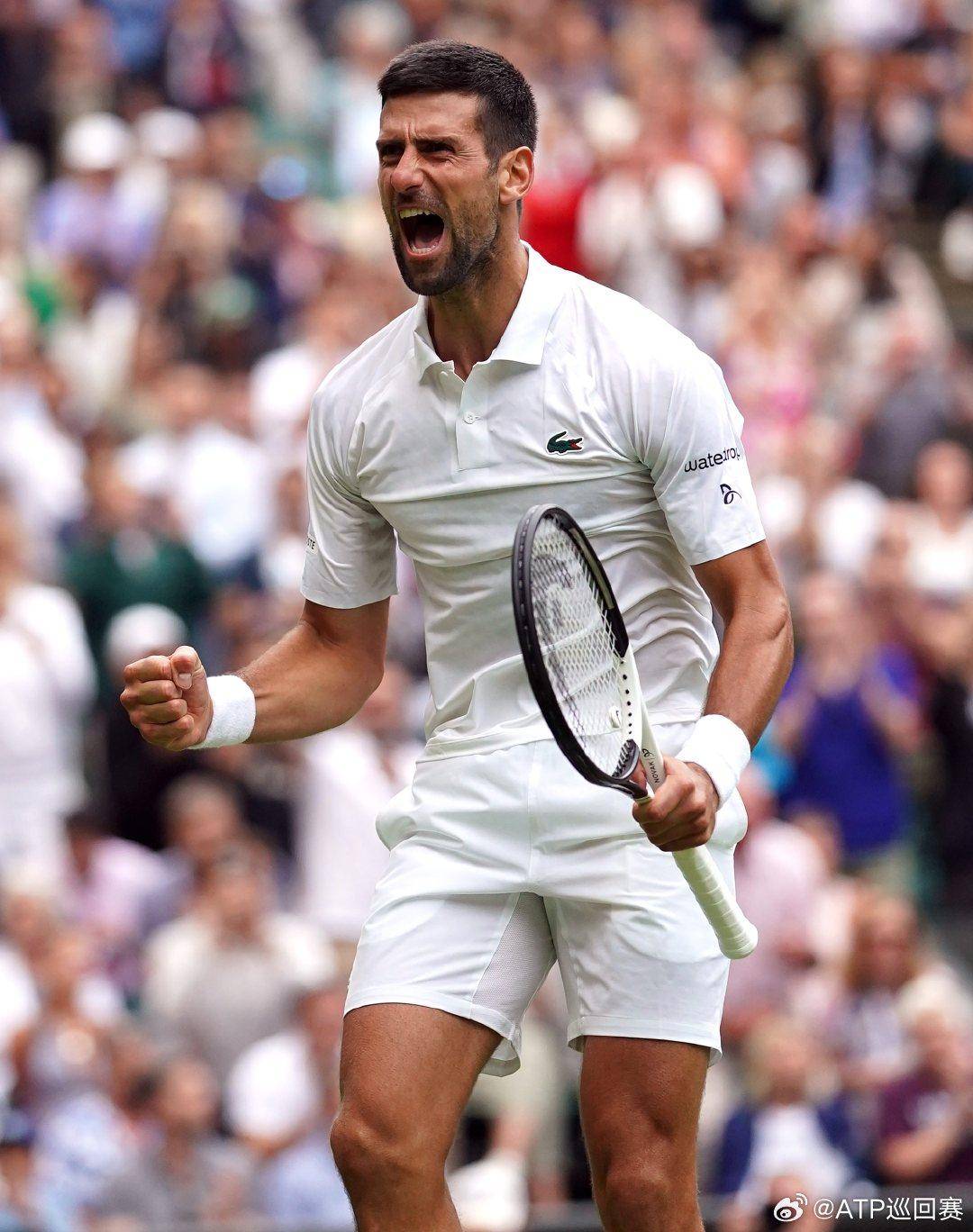 稳定输出 稳定输出