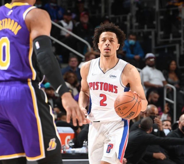 轻易预测 轻易预测